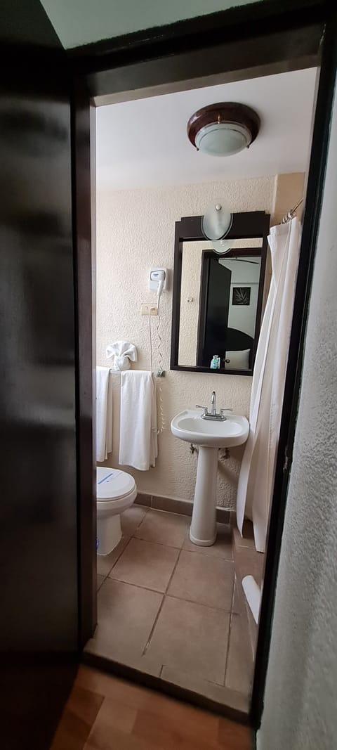 Double Room | Bathroom | Shower, rainfall showerhead, hair dryer, towels