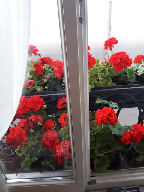 Classic Double or Twin Room | Living area | LED TV