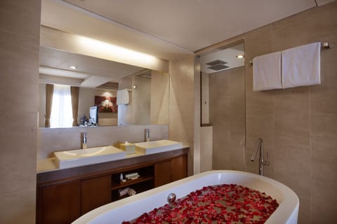 Suite | Bathroom | Free toiletries, hair dryer, bathrobes, slippers