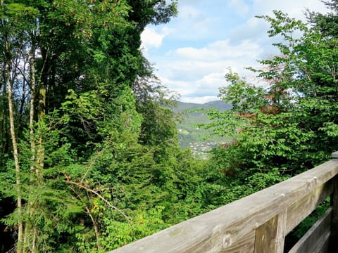 Cloud, Sky, Plant Community, Leaf, Natural Landscape, Wood, Vegetation, Tree, Grass, Woody Plant