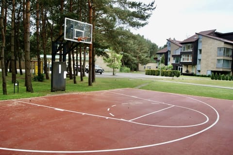 Basketball court