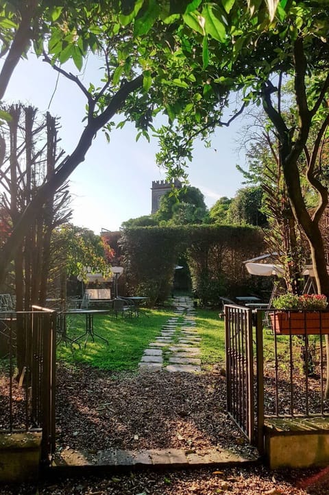 Sky, Plant, Leaf, Tree, Shade, Branch, Natural Landscape, Vegetation, Sunlight, Road Surface
