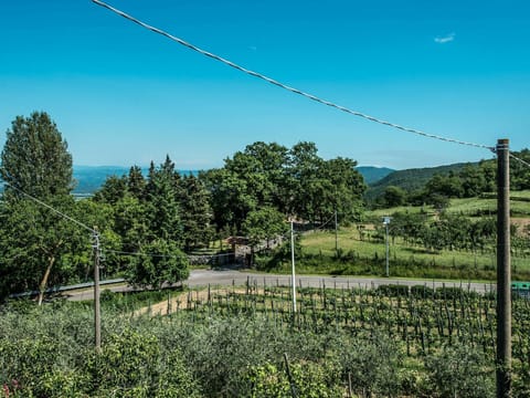 Sky, Plant, Ecoregion, Nature, Natural Landscape, Vegetation, Tree, Overhead Power Line, Electricity, Slope