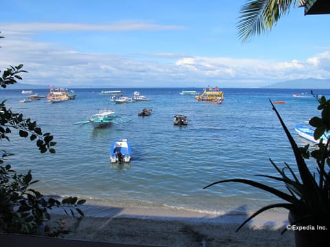 On the beach, scuba diving