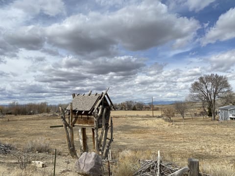 View from the driveway in the winter
