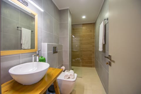 Studio | Bathroom | Shower, free toiletries, hair dryer, towels