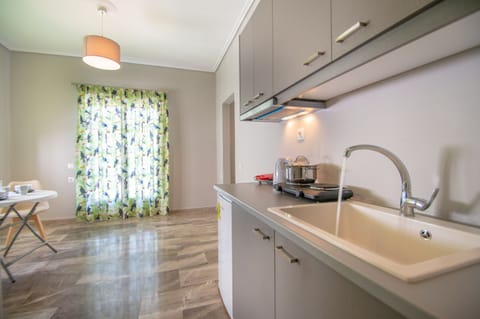 Apartment, Mountain View | Private kitchenette | Fridge, stovetop, coffee/tea maker, electric kettle