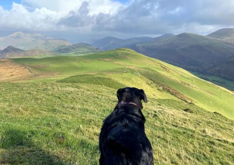 Views from Geufron Farm