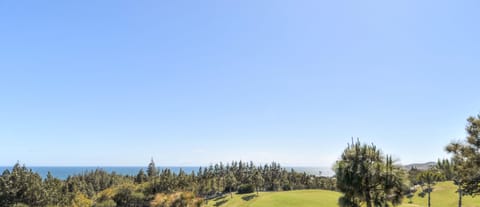 Las Palmeras 473 - 29