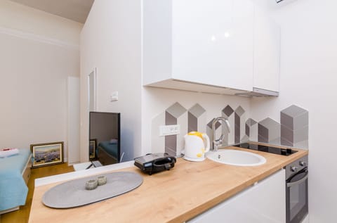 Studio (Studio Apartment) | Private kitchen | Fridge, oven, stovetop, dishwasher