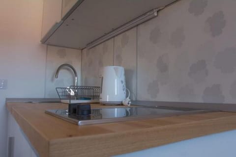 Studio (Studio with City View) | Private kitchenette | Fridge, freezer