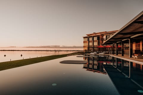 Outdoor pool, sun loungers