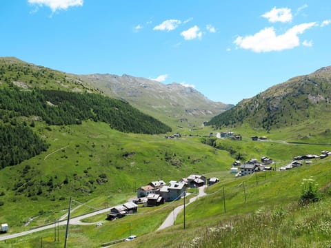 Plant, Sky, Plant Community, Natural Landscape, Branch, Tree, Grass, Shrub, Deciduous, Landscape