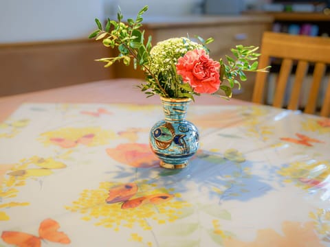 Furniture, Table, Window, Property, Chair, Building, Outdoor Table, Outdoor Furniture, Grass, Plant