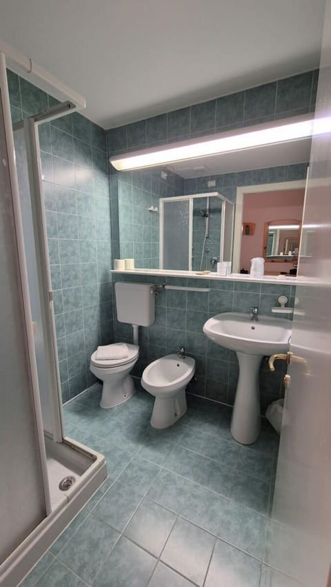 Shower, free toiletries, hair dryer, bidet