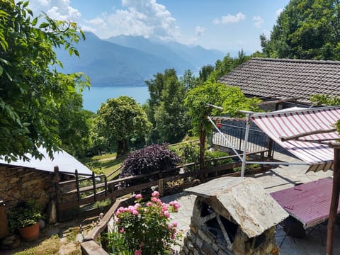 Flower, Plant, Sky, Cloud, Property, Building, Mountain, Flowerpot, Window, Botany