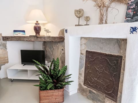 Furniture, Interior Design, Picture Frame, Living Room, Room, Natural Material, Flowerpot, Hearth, Houseplant