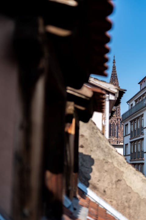 CityCosy-Strasbourg - St Thomas Serruriers (10)