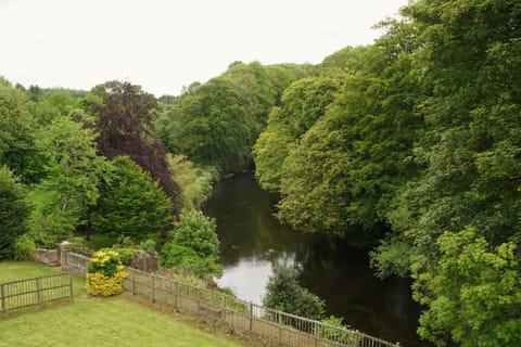 Deluxe Room | Blackout drapes, soundproofing, iron/ironing board, free WiFi