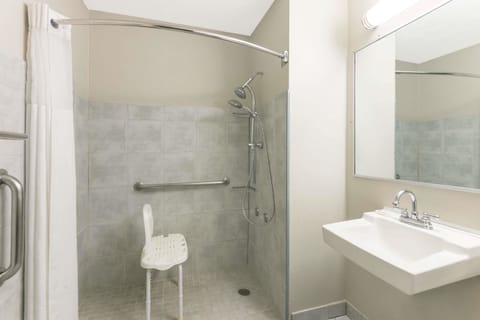Room, 1 Queen Bed, Accessible, Bathtub | Bathroom shower