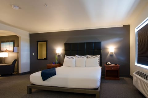 Suite, 1 King Bed | Premium bedding, desk, laptop workspace, blackout drapes