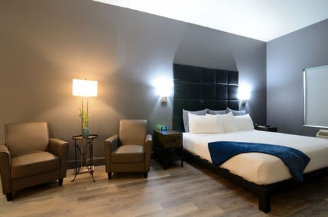 Suite, 1 King Bed | Premium bedding, desk, laptop workspace, blackout drapes