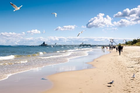 Beach nearby, beach bar