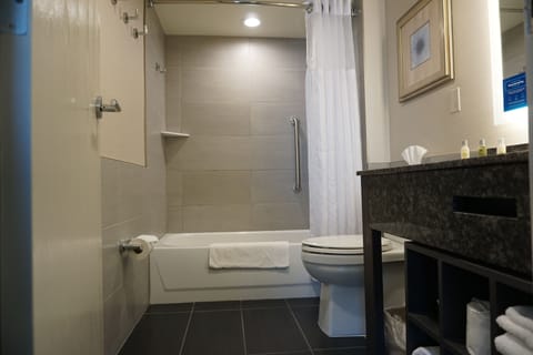 Suite, 1 King Bed, Non Smoking, Kitchen | Bathroom | Eco-friendly toiletries, hair dryer, towels