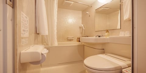 Combined shower/tub, free toiletries, hair dryer, bidet