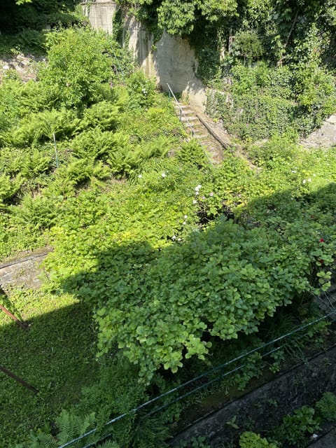 Standard Double Room | Garden view