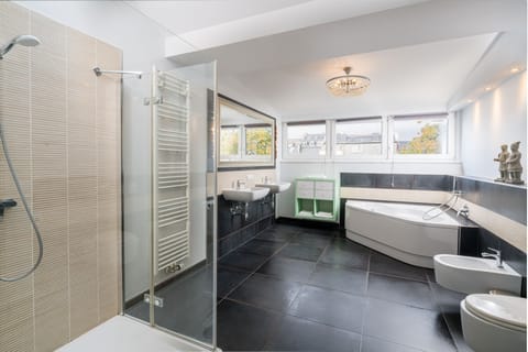 Deluxe Apartment | Bathroom | Shower, free toiletries, hair dryer, towels