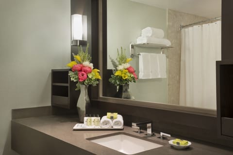 Classic Room, 1 King Bed | Bathroom sink