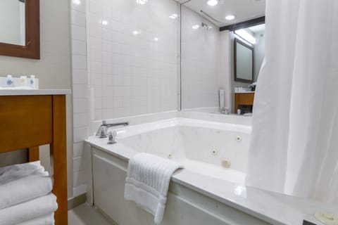 Combined shower/tub, free toiletries, hair dryer, towels