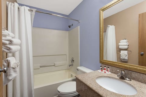 Combined shower/tub, free toiletries, hair dryer, towels