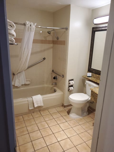 Combined shower/tub, free toiletries, hair dryer, towels