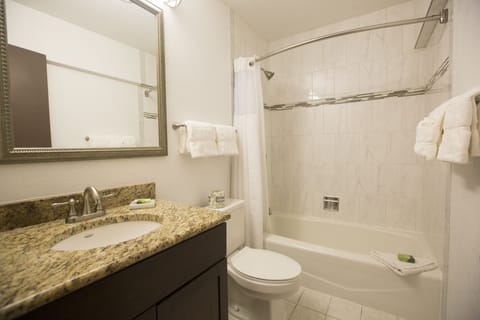 Double Suite | Bathroom | Free toiletries, hair dryer, towels