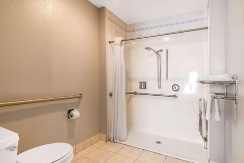 Room, 1 King Bed, Accessible, Non Smoking | Bathroom | Combined shower/tub, hydromassage showerhead, free toiletries