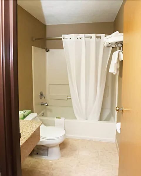 Room, 1 King Bed, Smoking | Bathroom | Combined shower/tub, free toiletries, hair dryer, towels