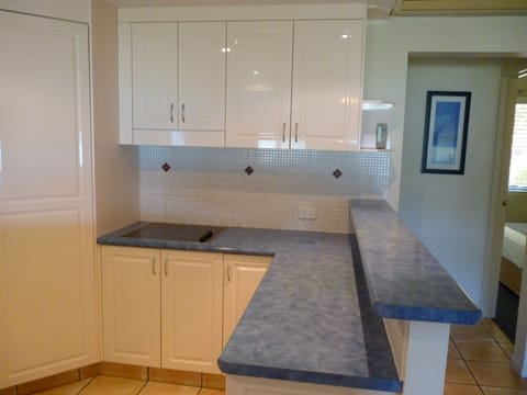 Three Bedroom Ocean View Apartment with Rooftop Hot Tub | Private kitchen | Full-size fridge, microwave, oven, stovetop