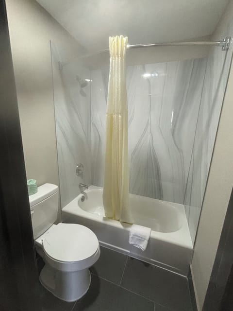 Combined shower/tub, free toiletries, hair dryer, towels