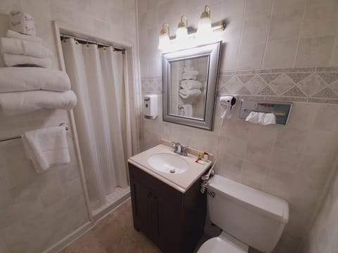 Basic Double Room | Bathroom | Free toiletries, hair dryer, towels