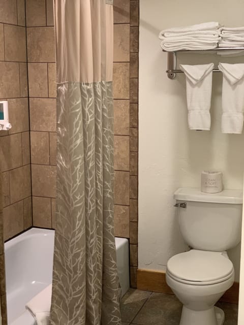 Combined shower/tub, eco-friendly toiletries, hair dryer, towels