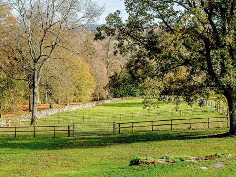 Dog friendly | Priors Lodge Barns - Owl Barn - Priors Lodge Barns , Bream, near Lydney