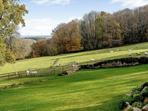 View | Priors Lodge Barns - Pipistrelle - Priors Lodge Barns , Bream, near Lydney