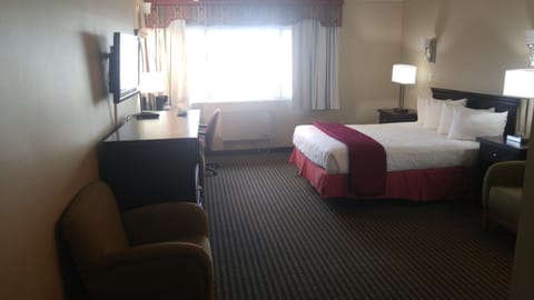 Room, 1 Queen Bed | Premium bedding, pillowtop beds, desk, blackout drapes