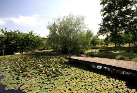 House | View from property