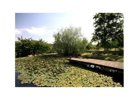 House | View from property