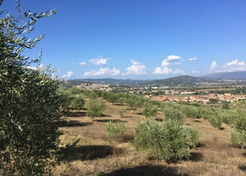 Cottage | View from property