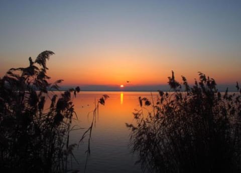 Cottage | View from property