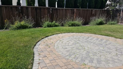 Beautiful custom backyard. Patio set not in picture. View other pictures.
